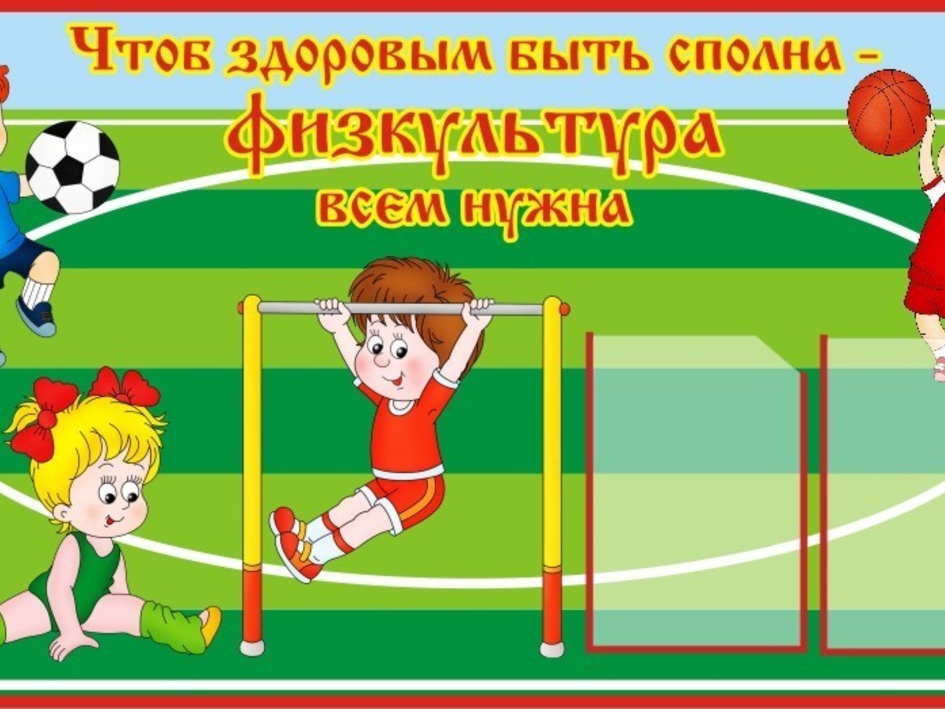Спорт и физкультура в школе
